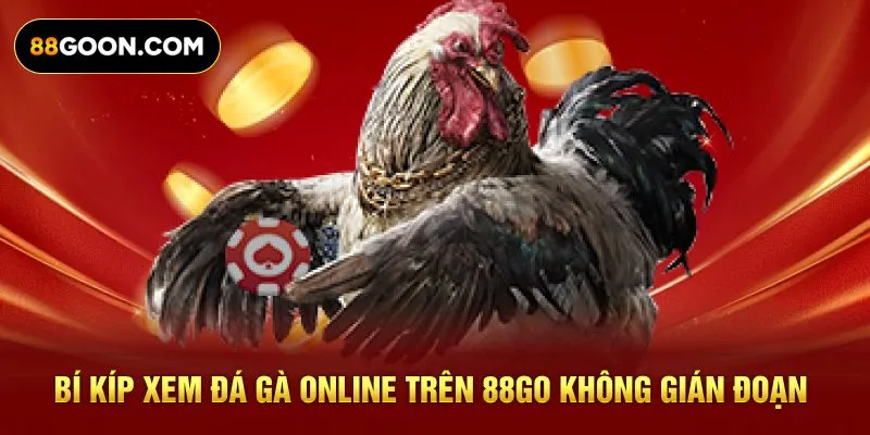 Bí kíp xem đá gà online trên 88GO không gián đoạn