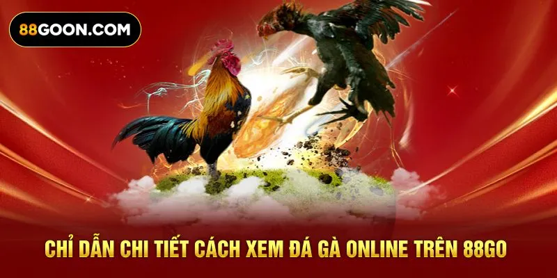 Chỉ dẫn chi tiết cách xem đá gà online trên 88GO