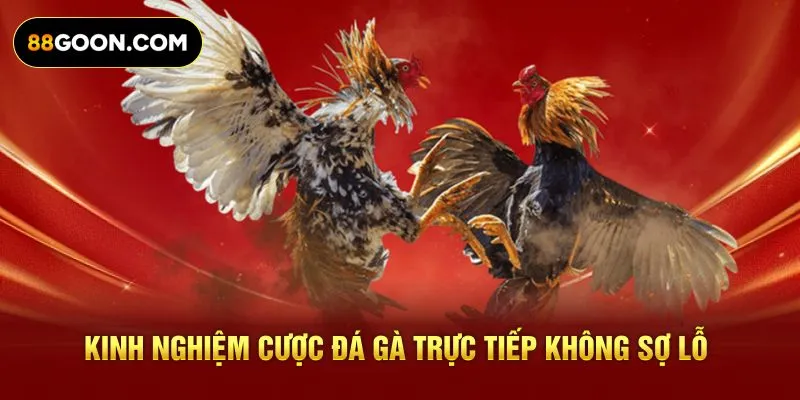Kinh nghiệm cược đá gà trực tiếp không sợ lỗ