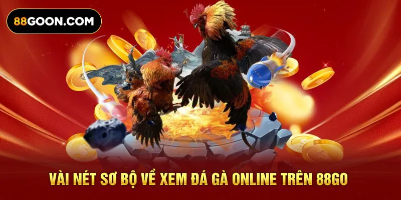 Vài nét sơ bộ về xem đá gà online trên 88GO