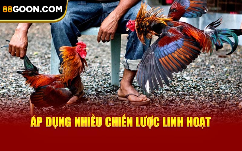Áp dụng nhiều chiến lược linh hoạt
