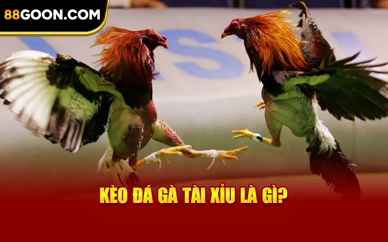 Kèo đá gà tài xỉu là gì?