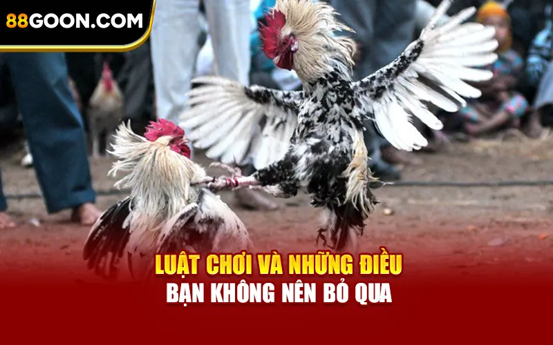 Luật chơi và những điều bạn không nên bỏ qua
