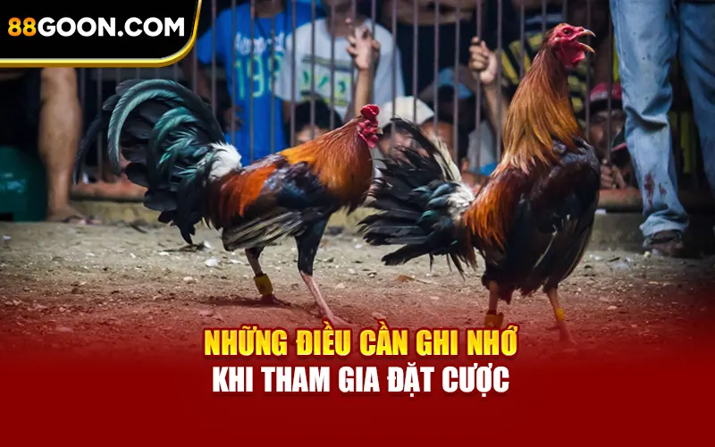 Những điều cần ghi nhớ khi tham gia đặt cược
