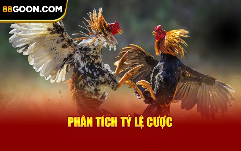 Phân tích tỷ lệ cược