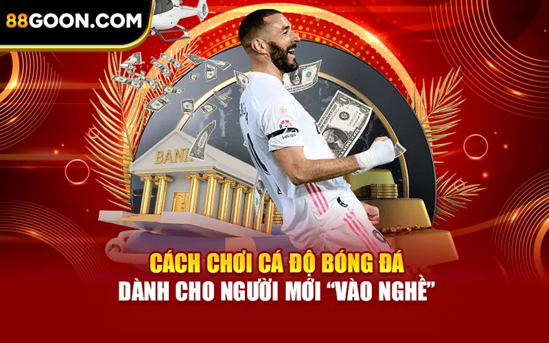 Cách chơi cá độ bóng đá hiệu quả dành cho người mới "vào nghề"