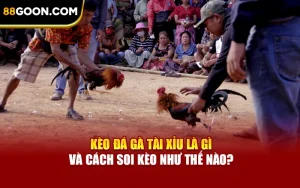 Kèo Đá Gà Tài Xỉu Là Gì Và Cách Soi Kèo Như Thế Nào?